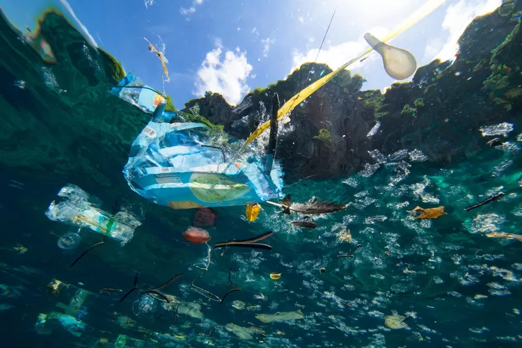 Bahaya Microplastic: Ancaman Tersembunyi di Makanan Sehari-hari